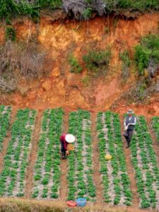 The eternal profession - farming