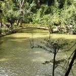 Waterfall park near Dalat