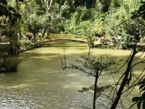 Waterfall park near Dalat