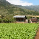 Rural farming village near Dalat