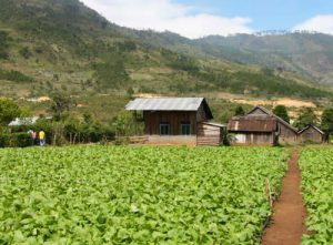 Rural farming village near Dalat