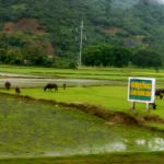 Along the east coast of Vietnam