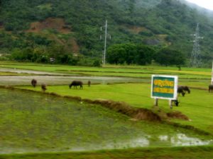 Along the east coast of Vietnam