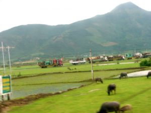 Along the east coast of Vietnam