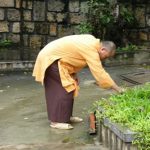 Nha Trang - Buddhist shrine