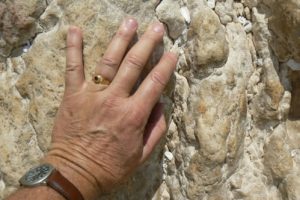 Western Wall