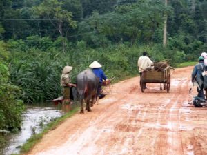 Common rural scene