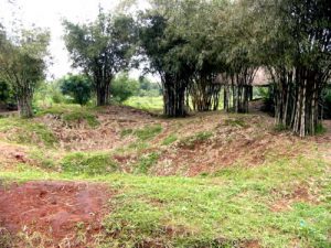 Bomb craters above Viet