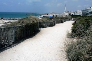 Walkway along the beach