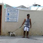 A man walks his dog near the beach