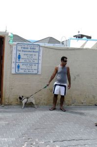 A man walks his dog near the beach