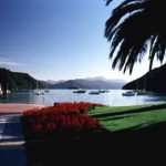 Picton coastline