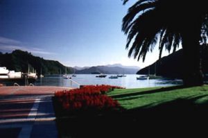 Picton coastline