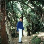 Tasman Park trek