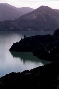 South Island coast serenity