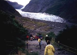 Fox glacier walk