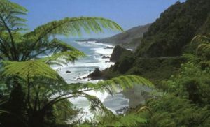 Lush South Island coast