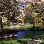 Christ Church city park