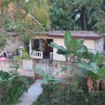 Returning from Jacmel - rural home and palm trees
