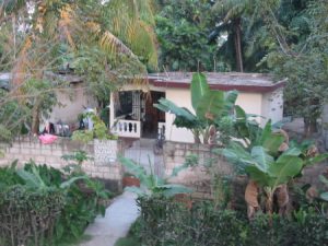 Returning from Jacmel - rural home and palm trees