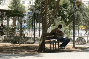 Amman - old Roman forum market, now a cruise park