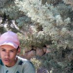 Boy with hat sitting in brush