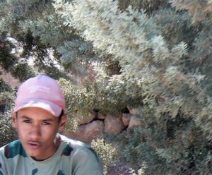 Boy with hat sitting in brush