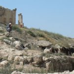 Man photographing mountain goats