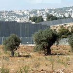 Checkpoint at the separation wall