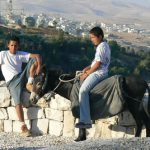 Boys sitting on the wall with a donkey