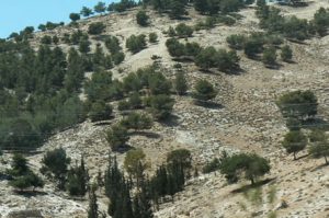 Roads towards the Allenby checkpoint