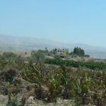 Jordanian landscape between Amman