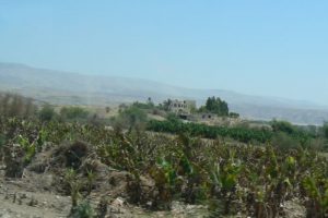 Jordanian landscape between Amman