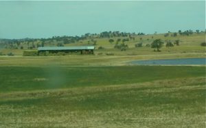 New South Wales Pastoral New South Wales is the most populous