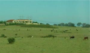 More Farms Along the way to Melbourne further south into New