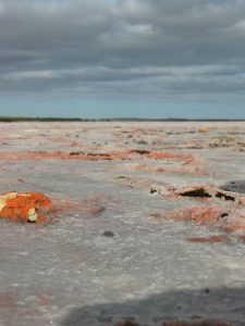 Australia - Warrnambool to Adelaide