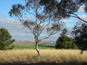 Australia - Warrnambool to Adelaide