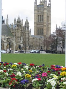 Parliament Square and flowers