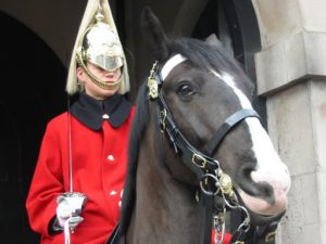 The Queen's horse guard