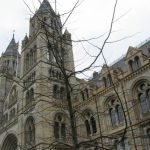 Exterior of the Natural History Museum