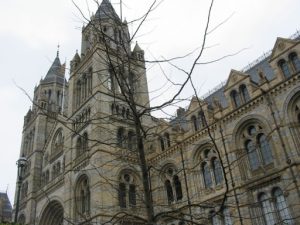 Exterior of the Natural History Museum