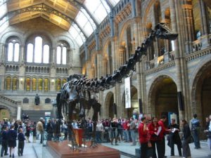 Entry hall to the Natural History Museum