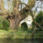 UK - Bourton-on-the-Water, Costwolds, Gloucestershire