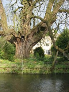 UK - Bourton-on-the-Water, Costwolds, Gloucestershire