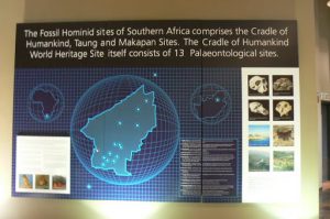 Inside the Cradle of Humankind museum