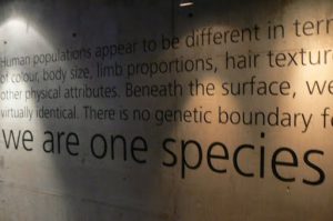Inside the Cradle of Humankind museum