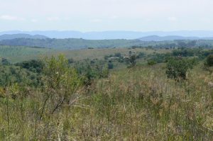 View of the Magaliesburg Mountains from the museum