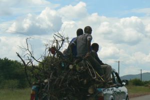 Taking home firewood