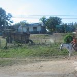 Cuba - rural scene