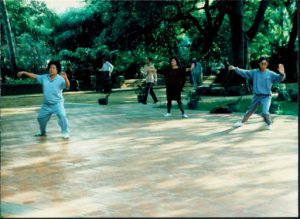 Tainan - tai chi exercises